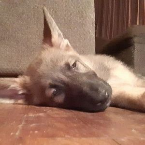 Meet your Posher, Randy